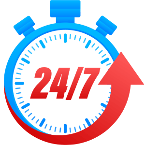 247 access to IPL betting platforms (1)